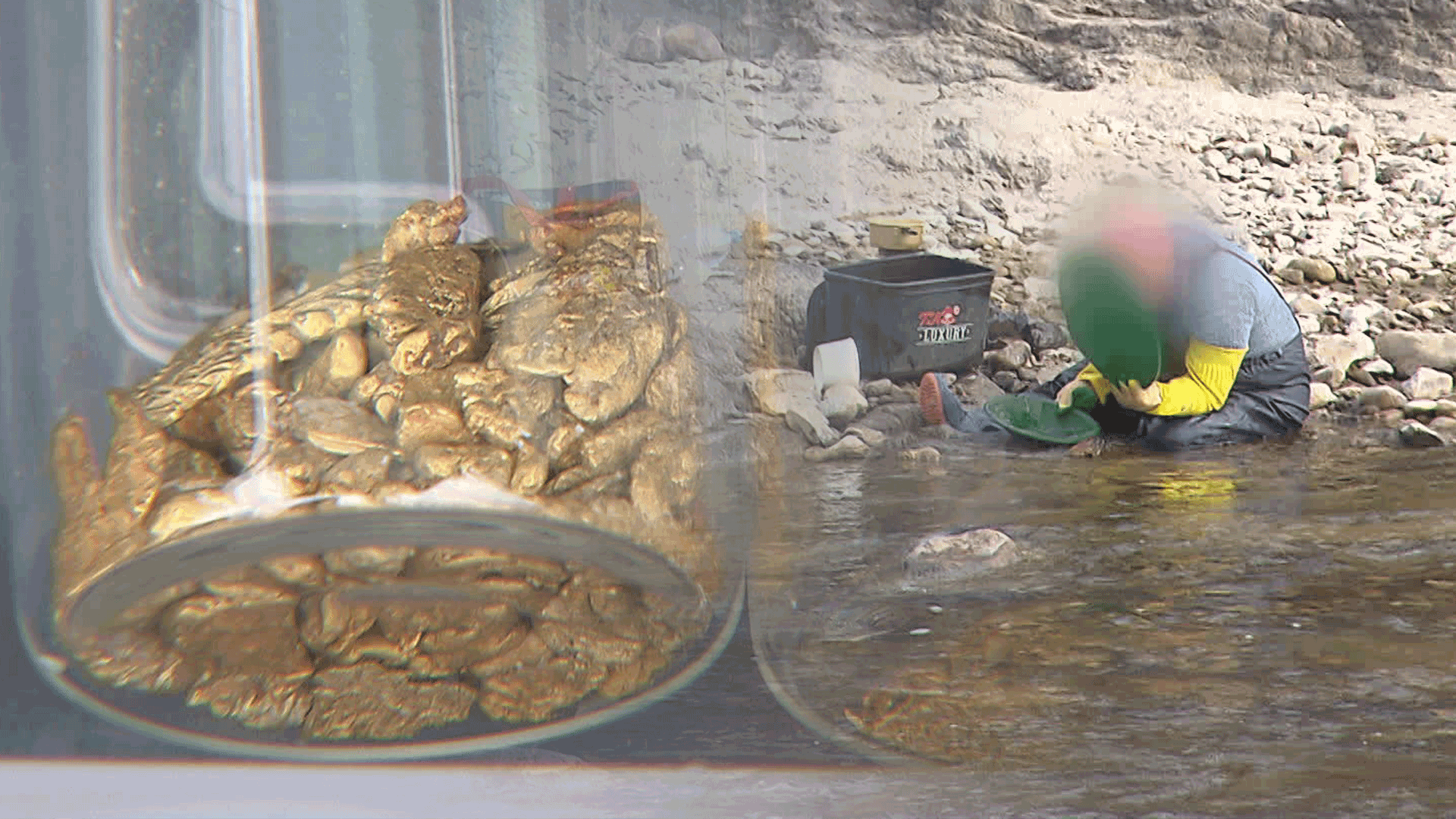 Aumento de la búsqueda de oro