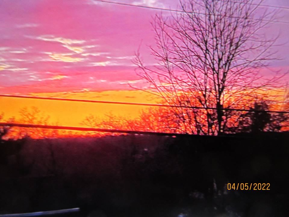 14 DE MARZO: RESUMEN DE NOTICIAS DE ALBANY Y WASHINGTON