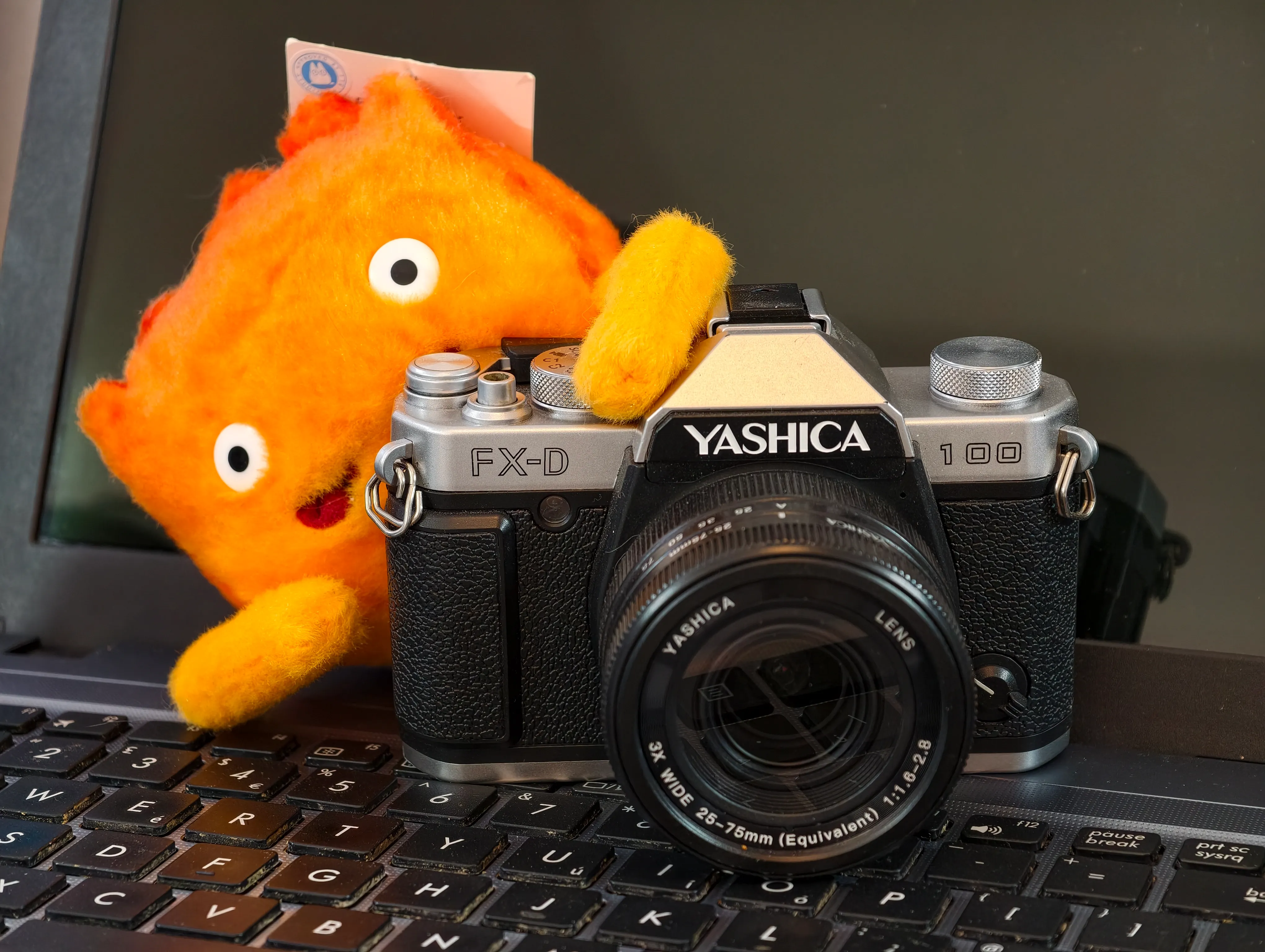 Compact cameras are officially back as 30% growth in 2025, but the real numbers could be MUCH higher