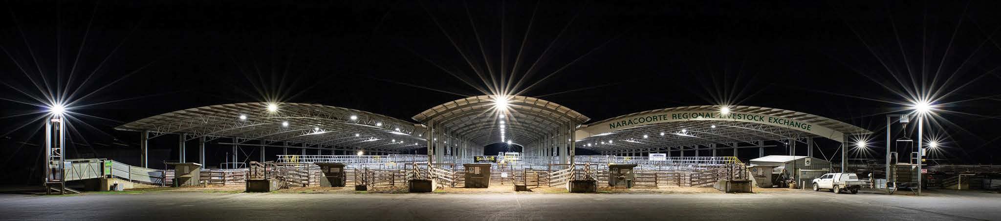 Éxito de Naracoorte Saleyard