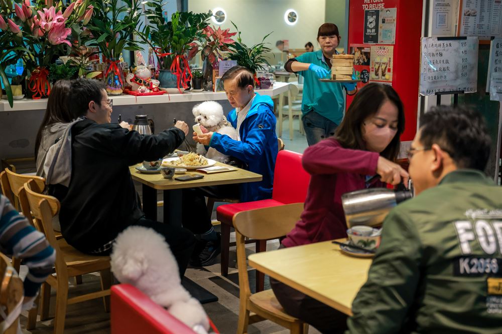 Hong Kong to welcome dogs in restaurants with new license program