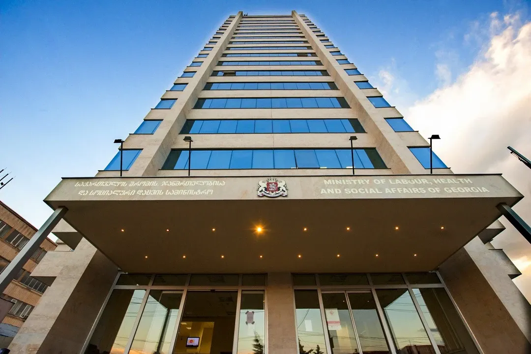 تحليل | لماذا ألغت جورجيا برنامج التوظيف الحكومي الخاص بها؟