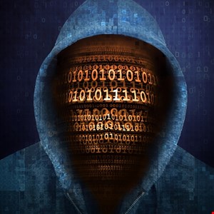 شركة الجرائم الإلكترونية