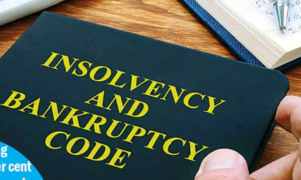 IBC en una encrucijada: el estancamiento de las tasas de recuperación indica la necesidad de una reforma estructural