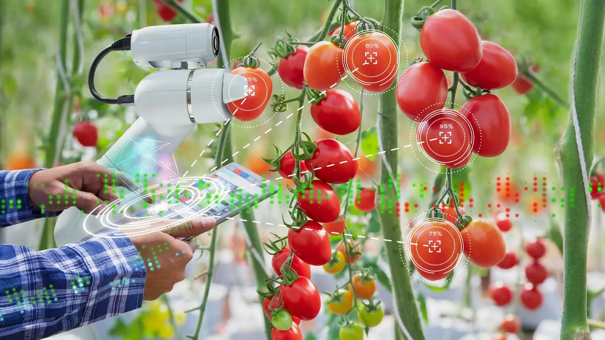 The pivotal role of AI in rewiring India’s agricultural ecosystem