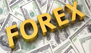 Forex reforms face fresh test as official–parallel rate gap widens