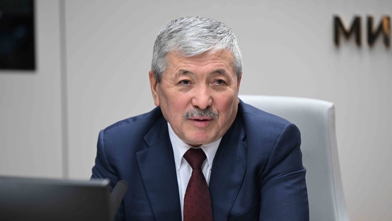 Cabinet Chairman spoke about issuing USD KG stablecoin in 2025