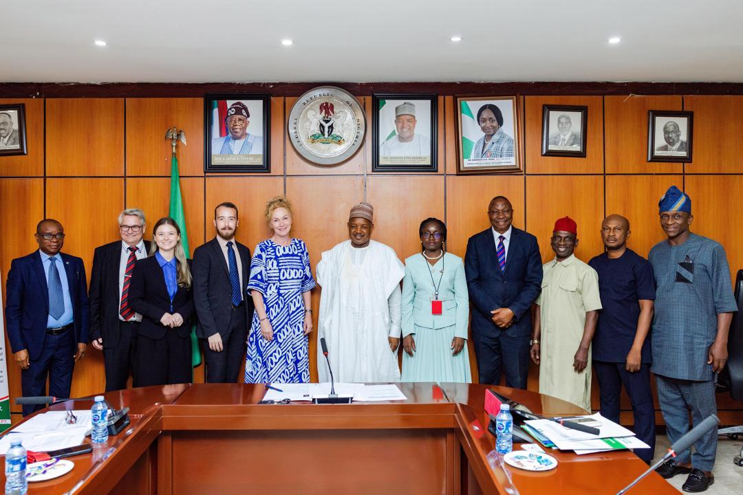 Nigeria, Sweden strengthen bilateral ties, eye ‘bankable’ deals in energy, digital economy