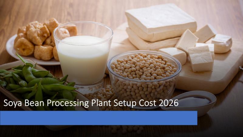 Soya Bean Processing Plant DPR 2026: Cost Structure, Production Process & ROI