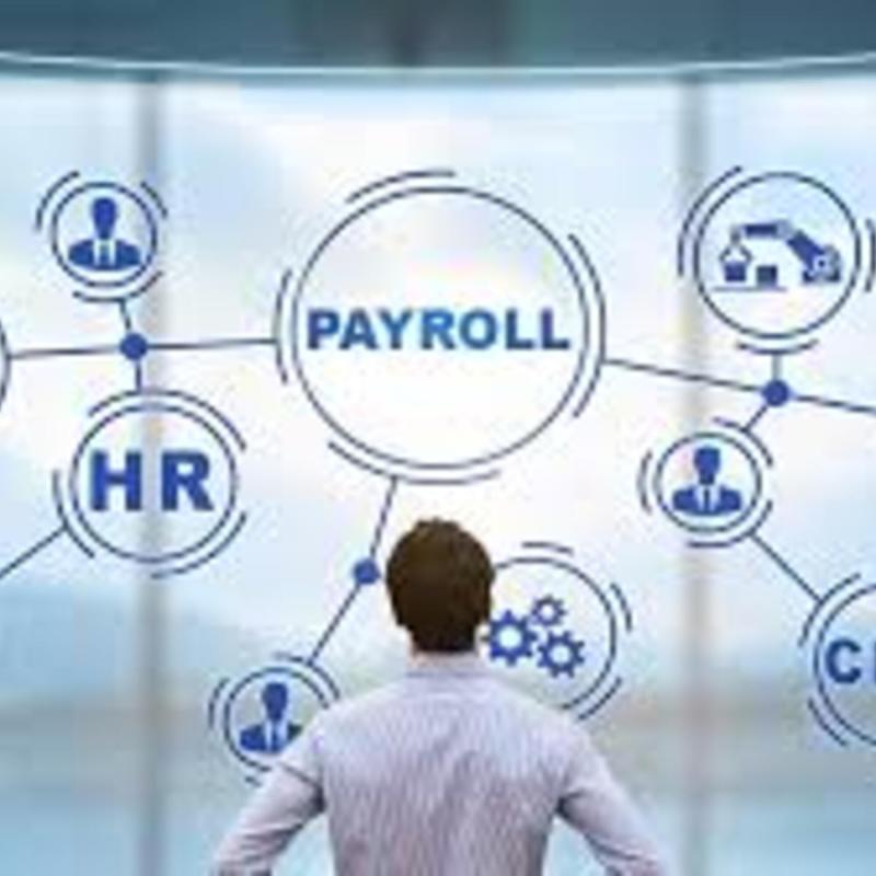 Payroll & HR Solutions and Services Market Poised to Reach US$ 53.37 Billion by 2030, Growing at a CAGR of 9.45%
