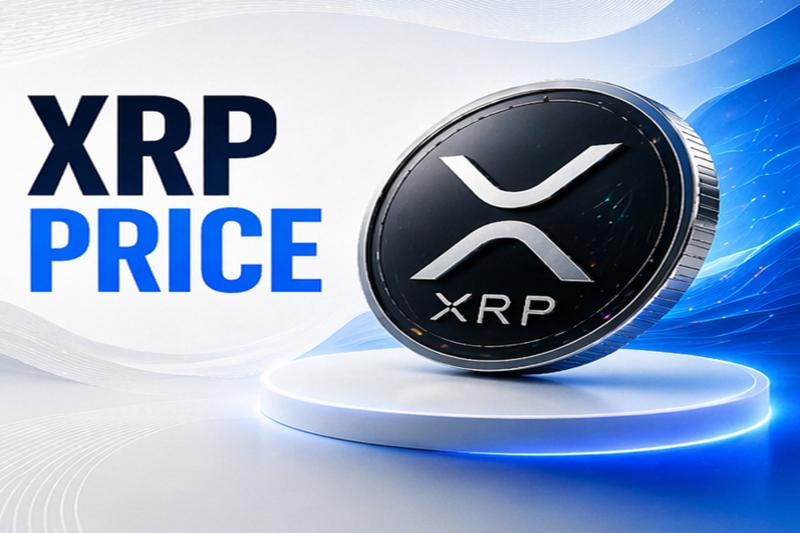 XRP Price News: Analyst Calls a Bottom for XRP at $1.43 While Pepeto Builds the Entry That Matters