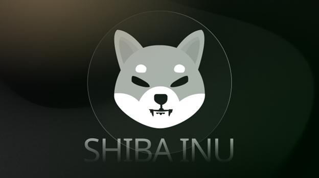 يتجه حاملو عملات Shiba Inu وBonk إلى مجمع التوفير Varntix مع بيع 24% من APY خلال أول 3 ساعات