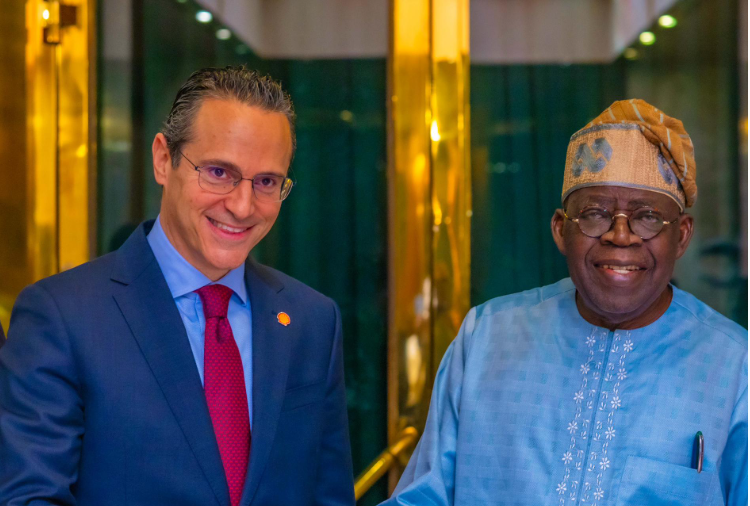 Shell Global CEO hails Tinubu, says leadership driving planned $20bn investment