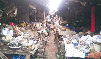 يطالب مجلس العلوم الوطني بتحويل التمويل لتحويل الأبحاث إلى قيمة اقتصادية.