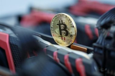 Los mejores sitios de apuestas deportivas con Bitcoin para casas de apuestas deportivas en línea