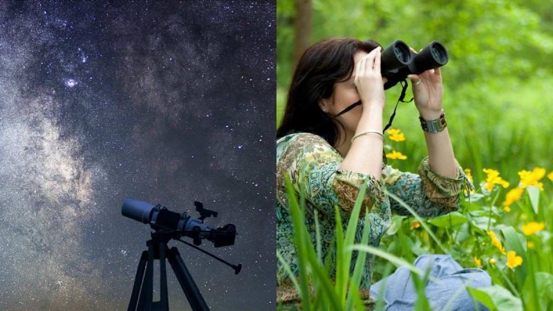 Union Budget 2026: Astro Tourism To Bird-Watching Trails,10 Big Changes For India’s Tourism