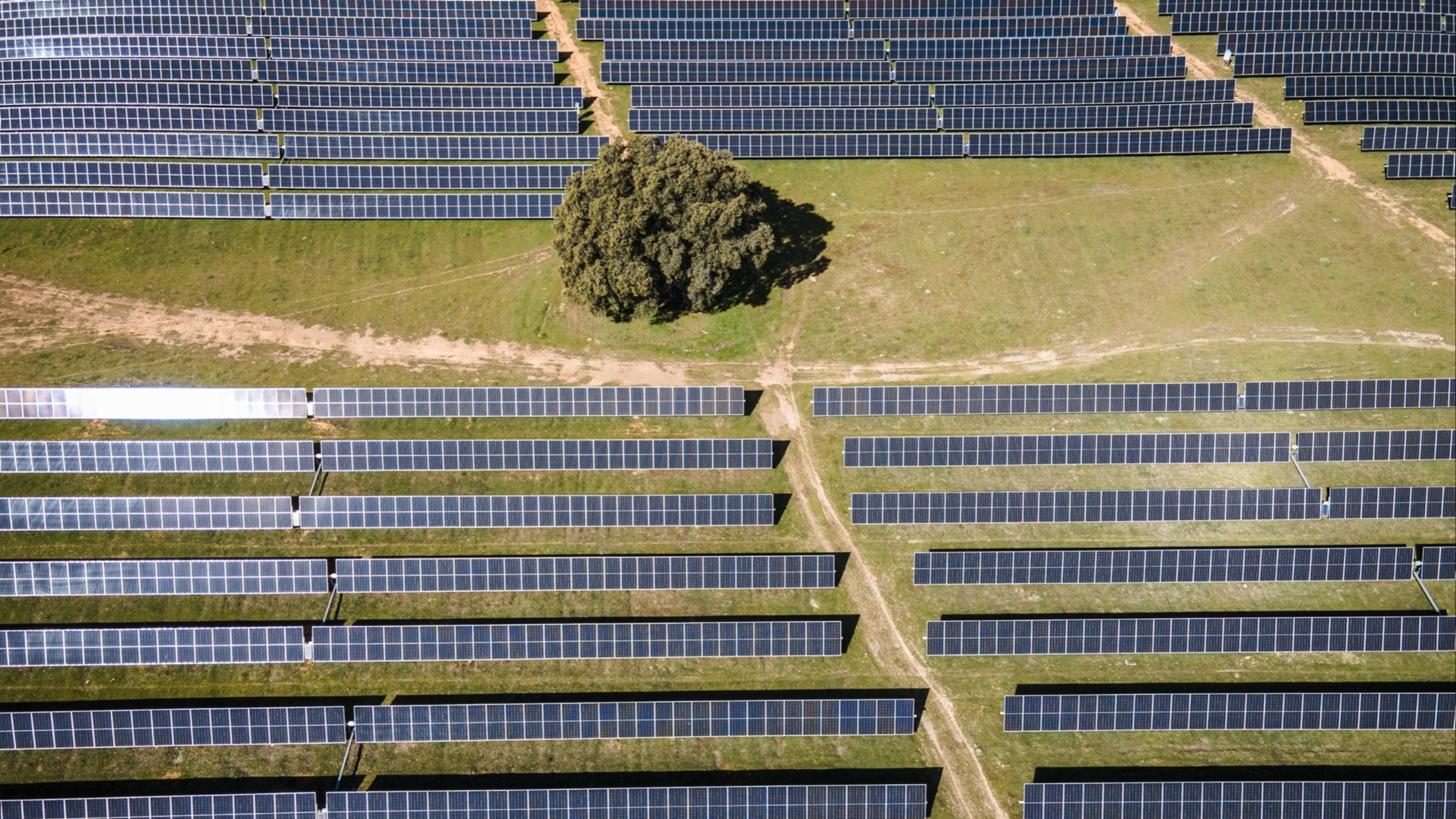 Es urgente aclarar las políticas necesarias para la transición energética