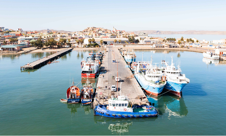 Nekundi denies favouritism after warning Namport against sidelining the president’s son’s company