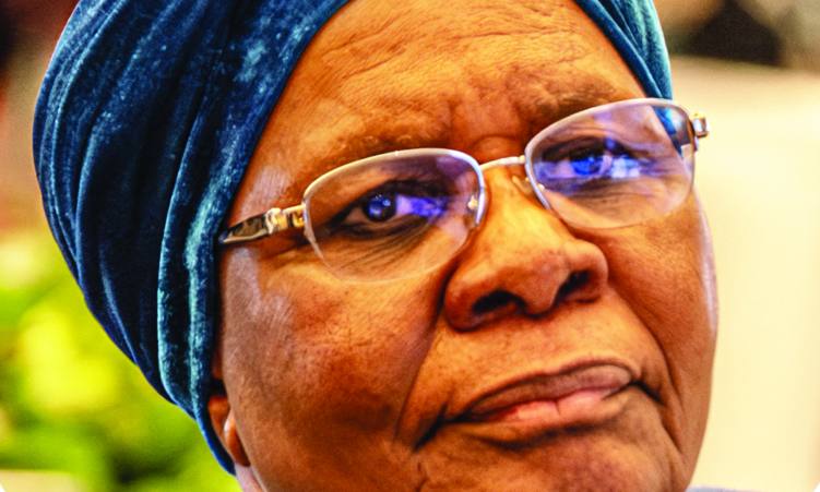 Analysts warn Nandi-Ndaitwah power expansion and petroleum bill could centralise authority in Presidency