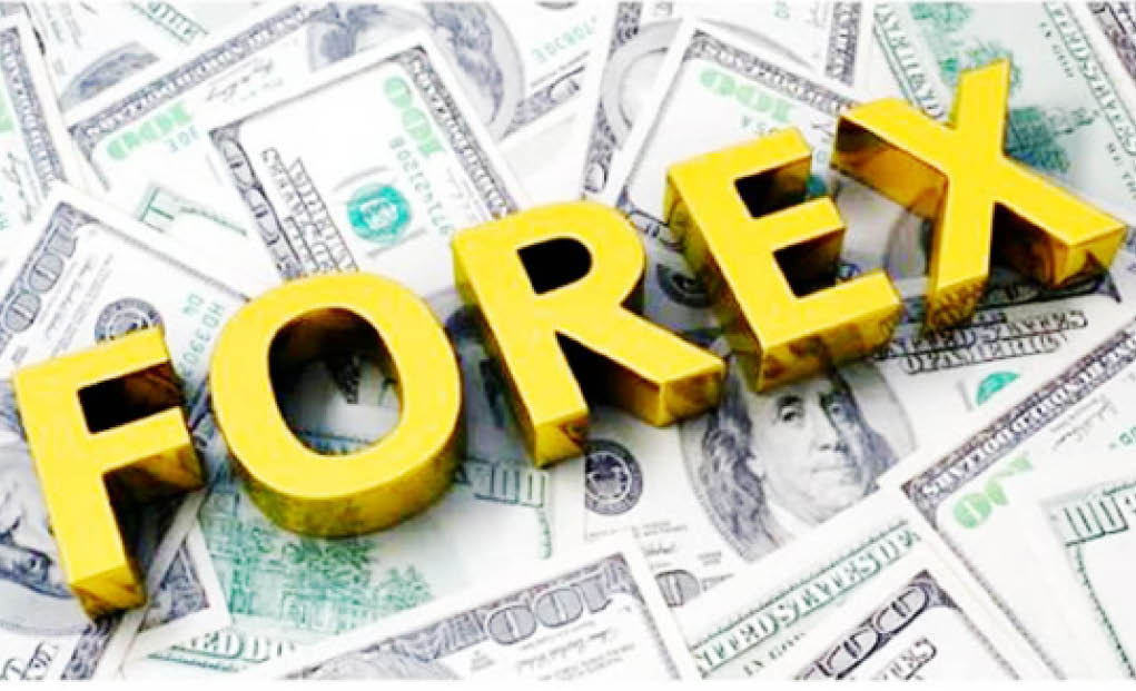 How Forex Trading Encourages Daily Learning and Progress