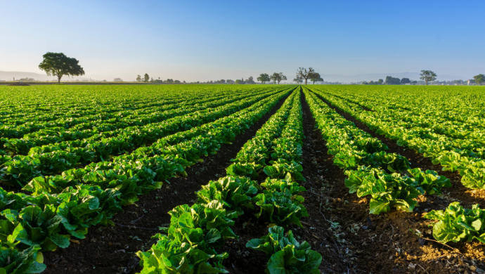 ليس دائمًا الحل في البرمجيات كخدمة: الحاجة إلى الابتكار المادي في الاقتصادات النامية