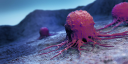 آي أو بيوتك (IO Biotech, Inc.)