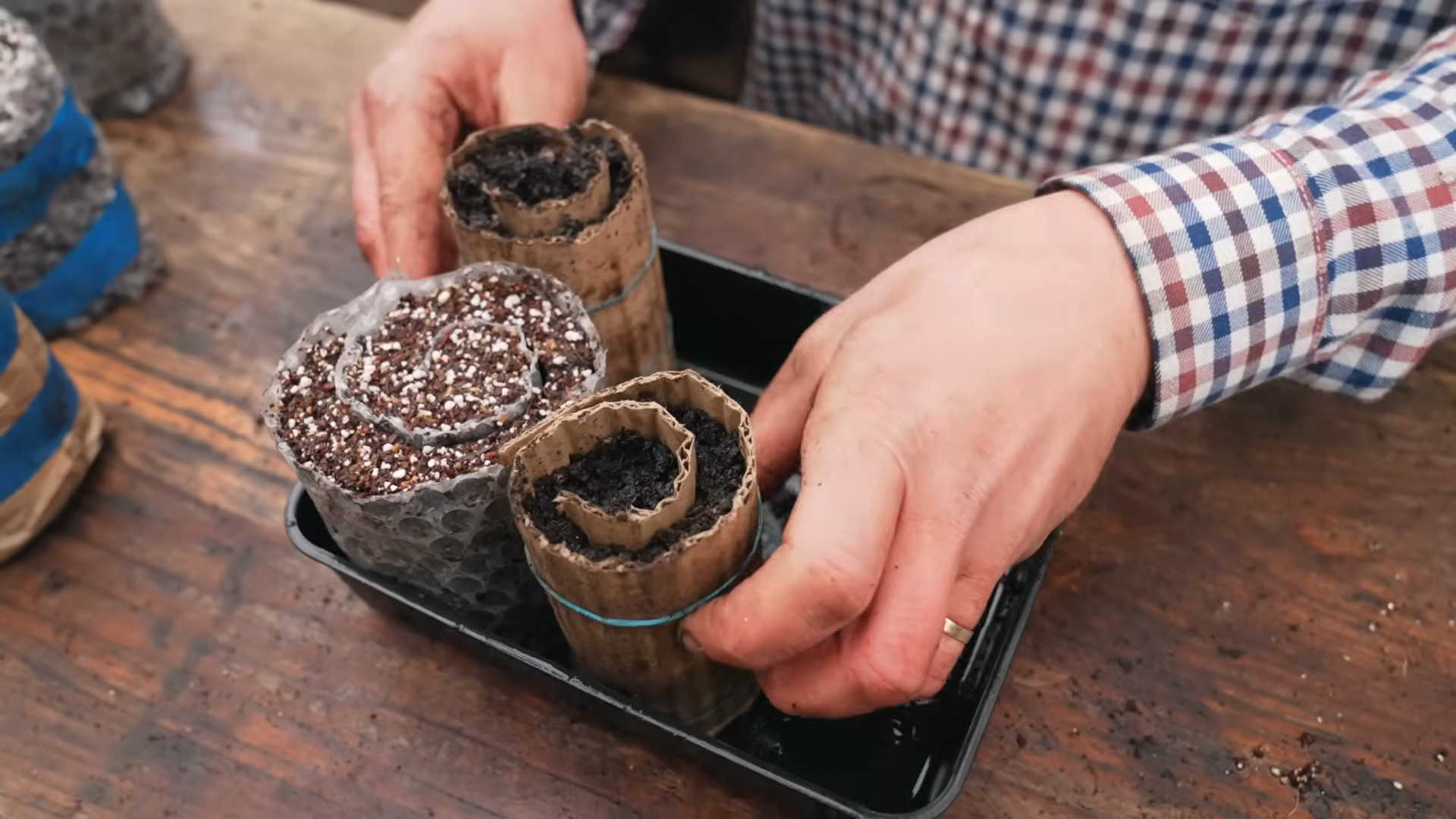 The Only Snail You Want In Your Garden Is a Seed-Starting Hack