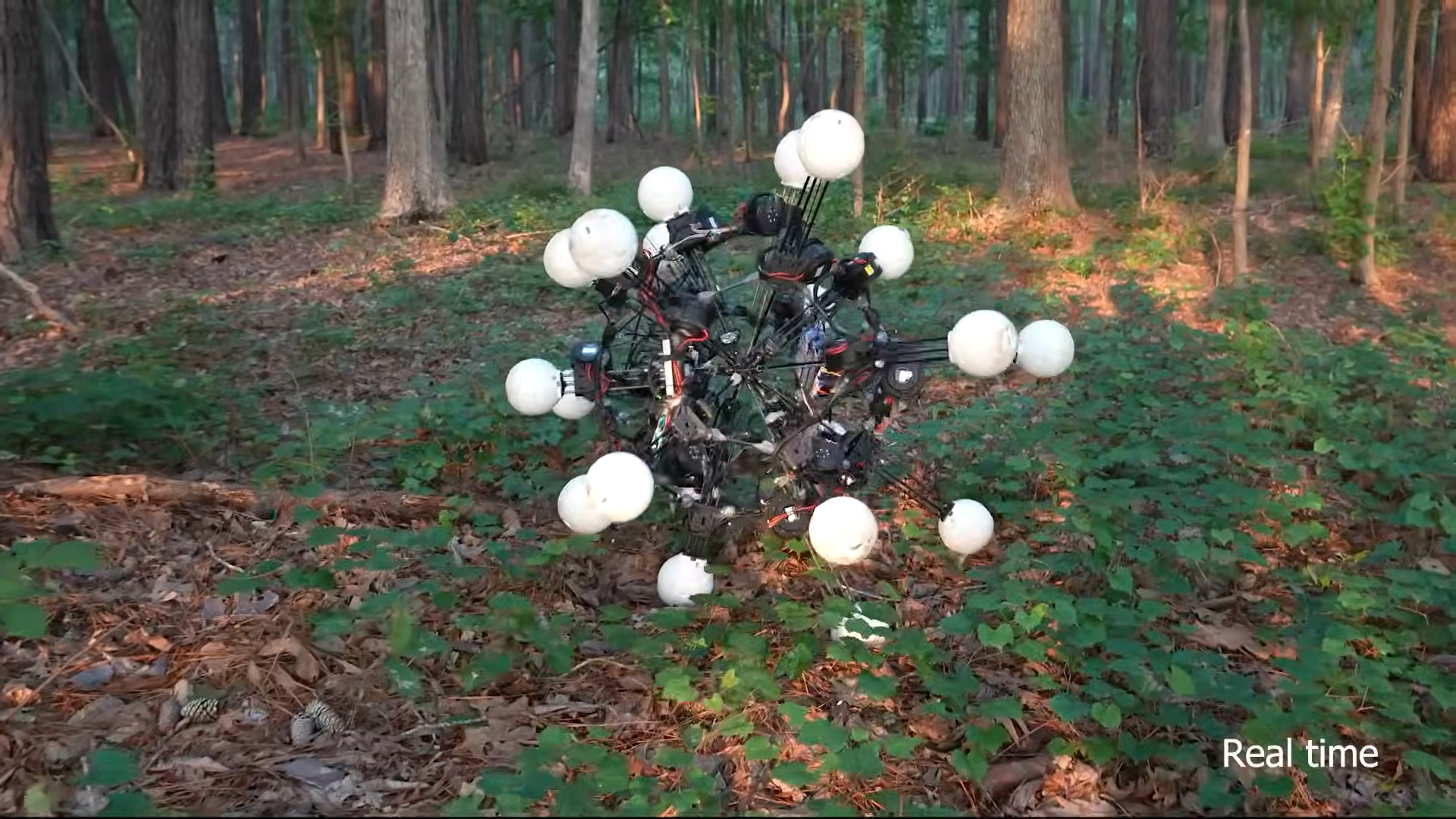 El robot Argus de nombre clásico es Terminator y Tumbleweed