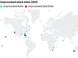 REVELADOS los puntos críticos de ataques de tiburones en el mundo: el mapa muestra las áreas con más encuentros en 2025, con Florida encabezando la lista
