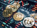 Bitcoin on course for worst week since 2022 as 'bored' crypto investors lured away by SpaceX frenzy
