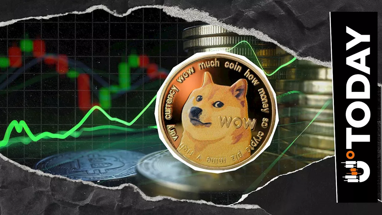 La liquidación de 4.897.291 cortos de DOGE se ve afectada a medida que los compradores regresan, ¿qué sigue?