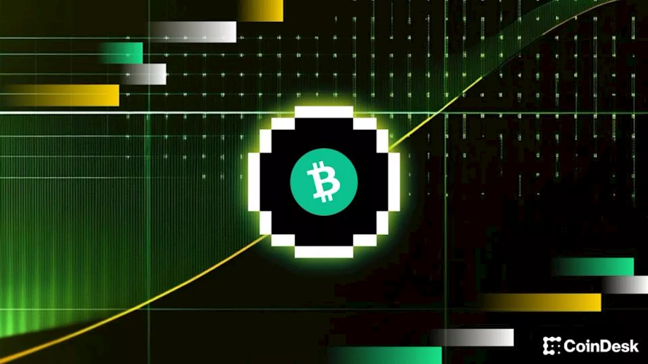 BTC price hits wall at $80,000, one analyst says the pullback is temporary: Crypto Daily