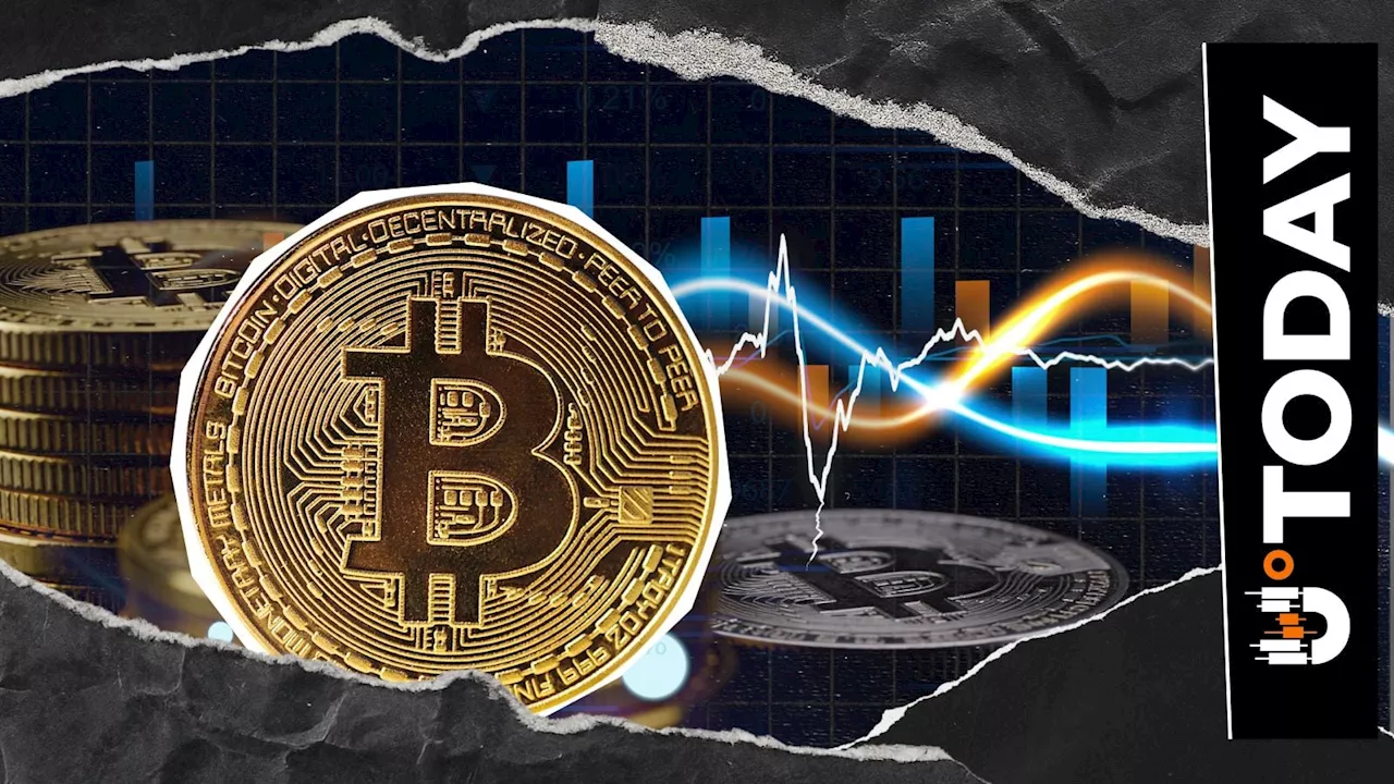 حيتان البيتكوين تجمع 10000 بيتكوين في ثلاثة أيام وسط معنويات هبوطية