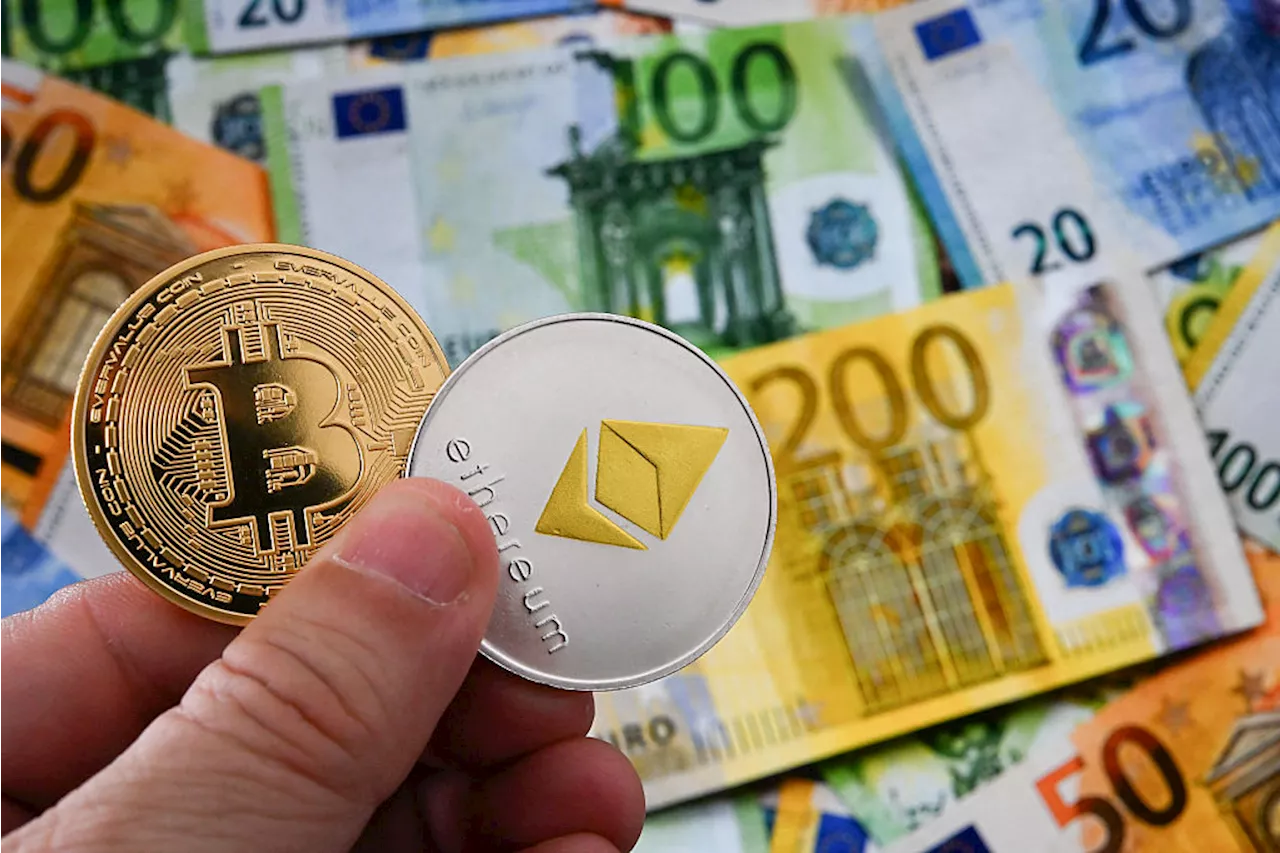 Who owns Bitcoin—And why the crash matters (or doesn’t) to your wallet