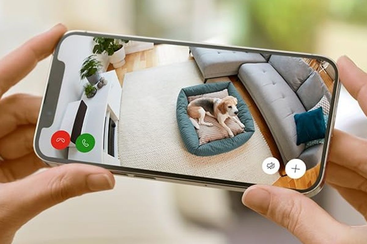 La cámara de seguridad para el hogar de Ring de £ 25 puede 'asustar a los intrusos', vigilar a las mascotas y monitorear a los bebés