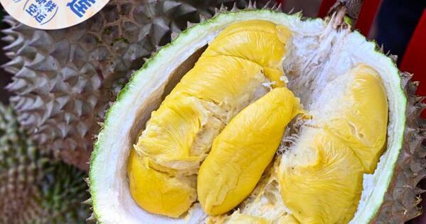 China's durian appetite cultivates new growth for Southeast Asian orchards