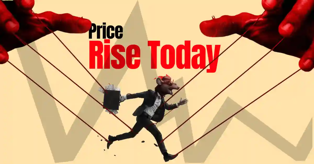 Crypto Market Update Today: Bitcoin Stabilises While DOT, UNI, ADA Lead Broader Crypto Recovery