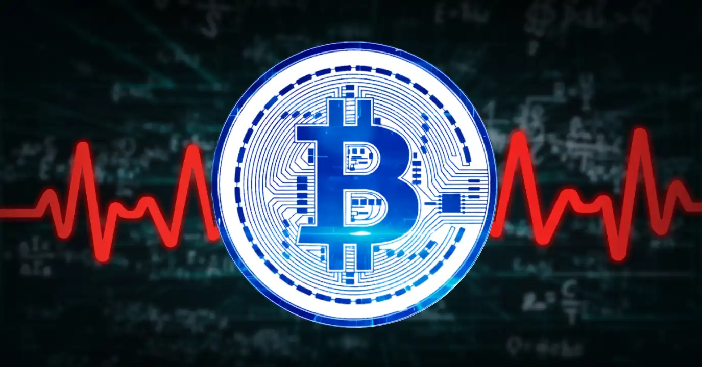 Elizabeth Warren se opone al rescate de Bitcoin mientras el precio cae un 50%