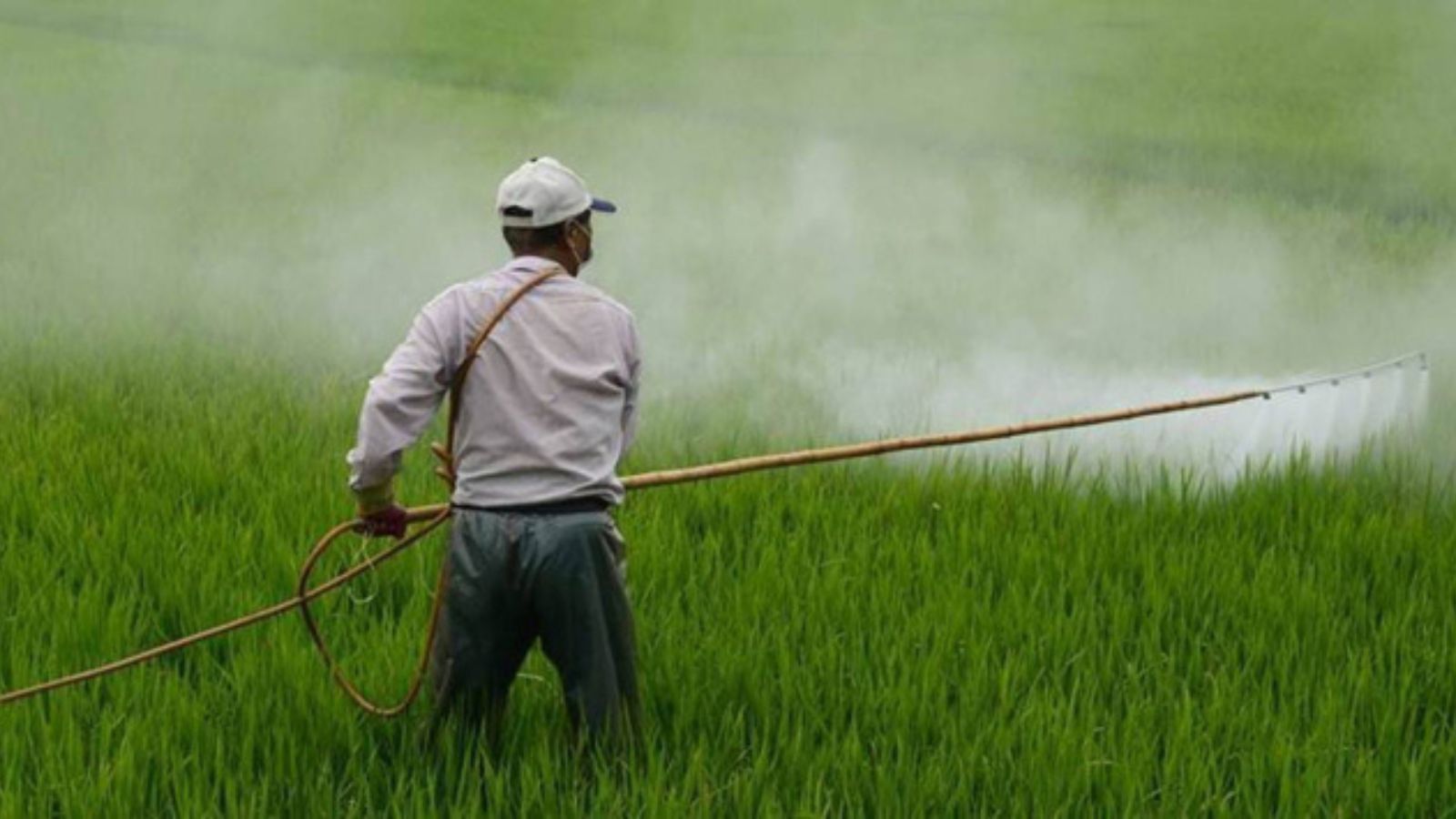 La carga de los subsidios a los fertilizantes se duplicará debido a la crisis de oferta mundial
