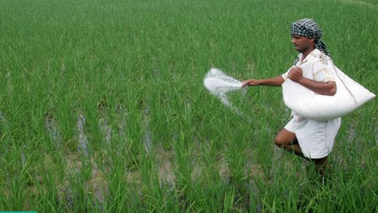 Fertiliser subsidy estimate to be reassessed with fall in urea import prices: Govt