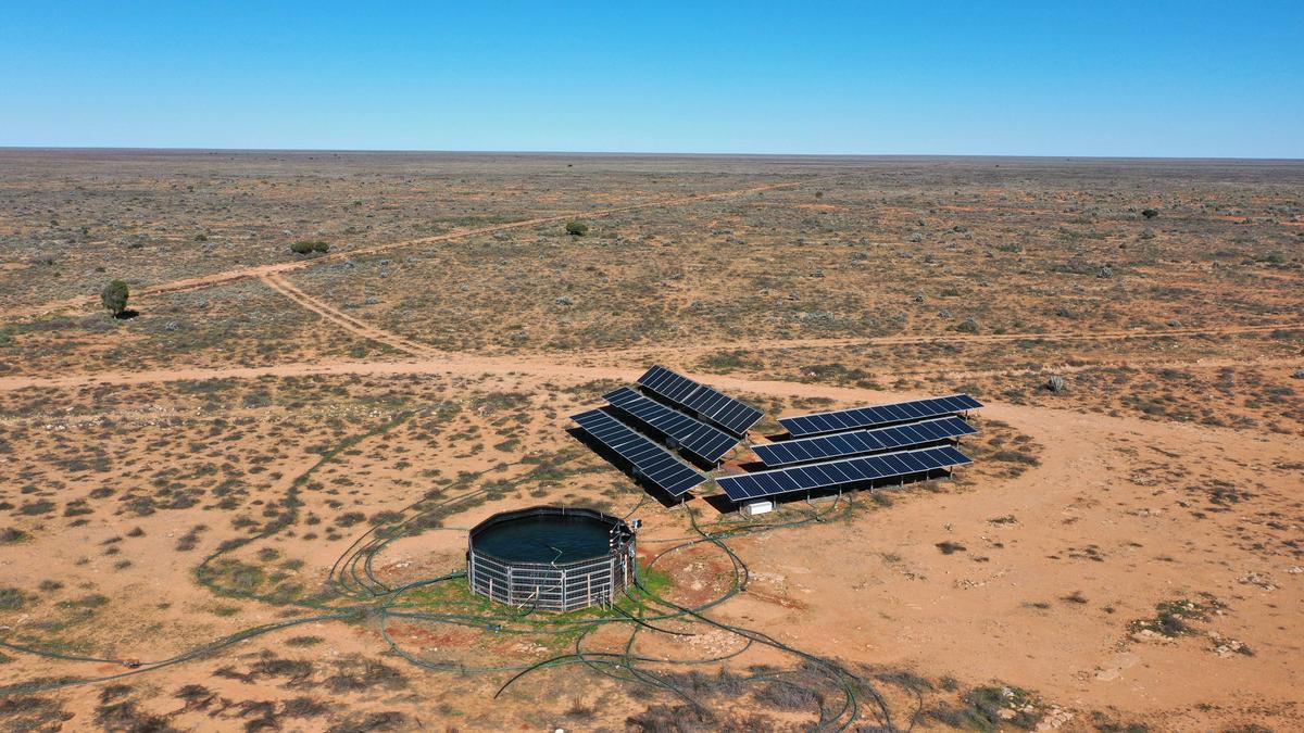 شركة عملاقة متخصصة في الأعمال الزراعية مقرها المملكة المتحدة، وتملك محطة راولينا، تستحوذ على محطة مديورا بلينز المجاورة لها في سهل نولاربور.