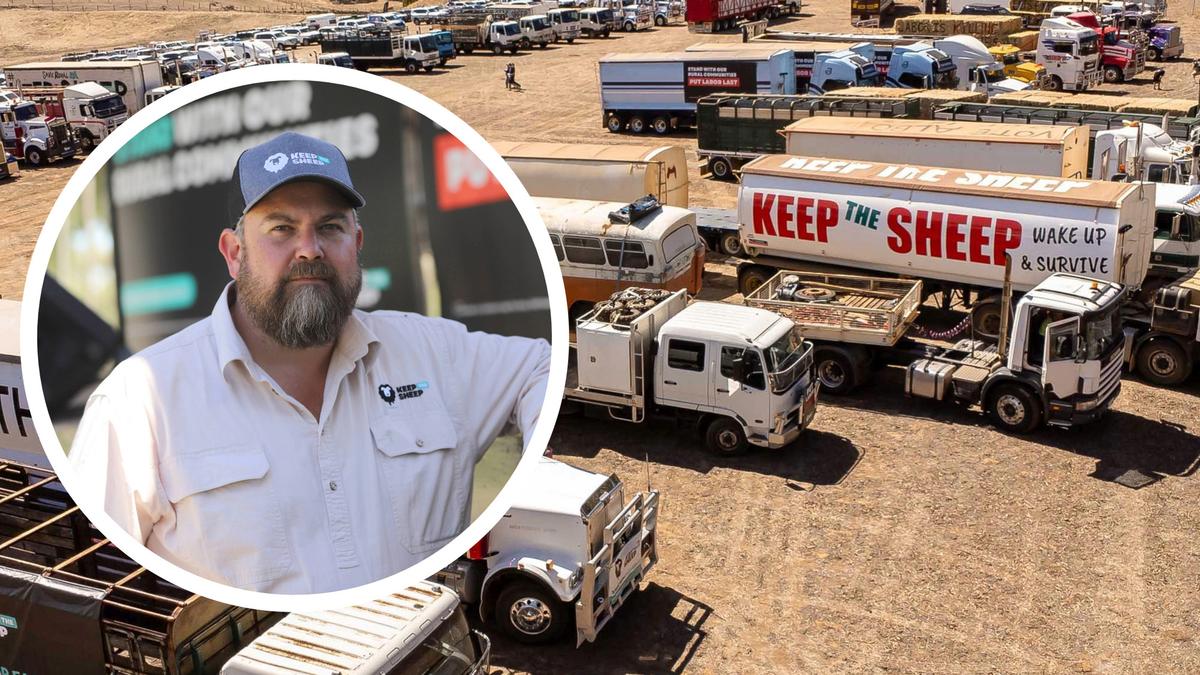 من منظور مختلف: نظرة على الحظر الوشيك لتصدير الأغنام الحية في أستراليا.