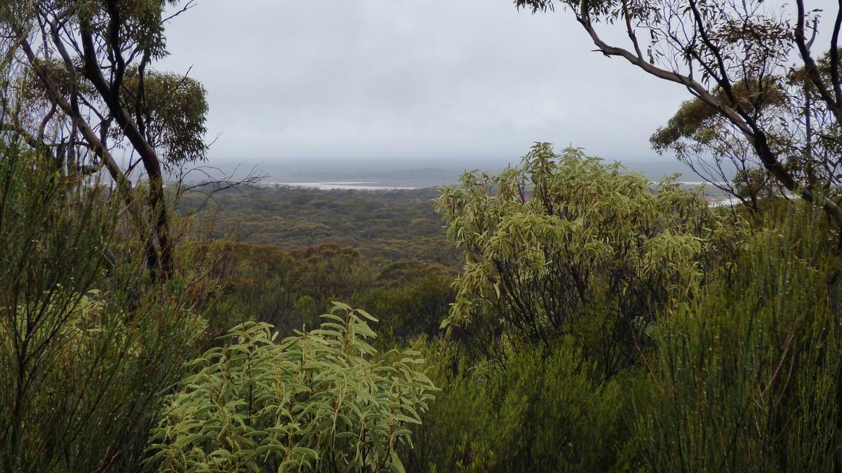 New land acquisition supports ongoing tourist attraction and potentially strengthened communications