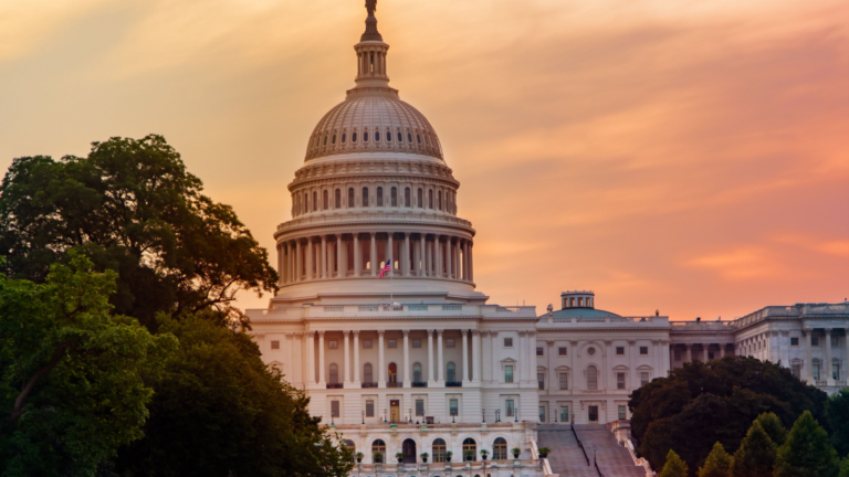 3 شركات ناشئة تقود الابتكار الأمريكي... و 8 أخرى في الأفق