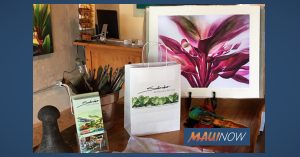 Maui Business Tuesdays Salon will spotlight local Maui artists, March 3