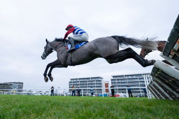 BHA to introduce training fees credit scheme in series of Grade 1 jump races to boost ownership of quality British horses