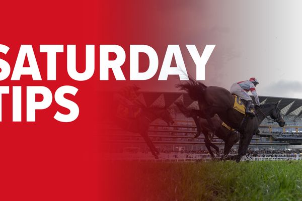 'He looks extremely promising and can cause an upset' - why this horse can win on Saturday