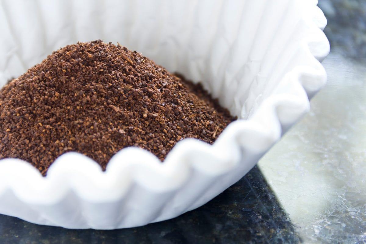 How To Use Coffee Grounds Safely In The Garden