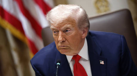 What exactly are Greenland’s riches that Trump wants so much?