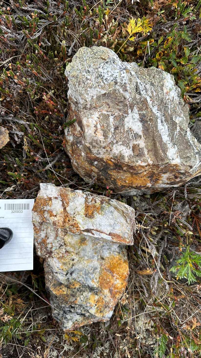 Yukon Metals toma muestras de hasta 250 G/T de oro en roca y amplía su posición terrestre en Carter Gulch, Yukon